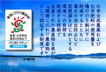 【7年産】 近江米 ミルキークイーン 無洗米 5kg 【BN16W】 近江米 環境こだわり米 滋賀県産 無洗米