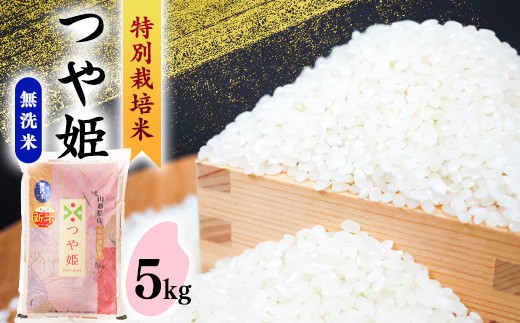 
                  【時期選べる】《先行予約》令和8年産 新米 《特別栽培米》 つや姫【無洗米】 5kg  2026年産 山形県産 ブランド米 農家直送 5キロ　017-C-SR003-R8
                