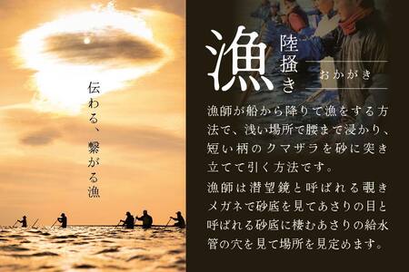 （2023年11月以降順次発送）北海道　道東産 アサリ中 6kg (冷凍)　約 300g ×20 袋【計約6kg(360～500粒)】【be082-040b098-202311】（北海道 あさり アサ