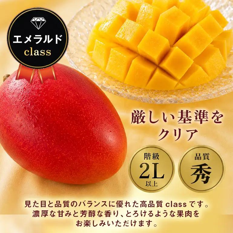 ぼうけんの国 宝石マンゴー 【秀品】アーウィンマンゴー エメラルドclass 約2kg ku01-004