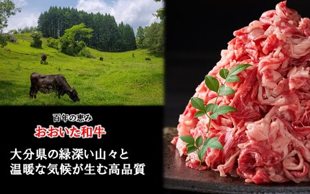 2436R_【A4～A5等級】小分けで便利！ おおいた和牛 切り落とし 1kg (250g×4P)