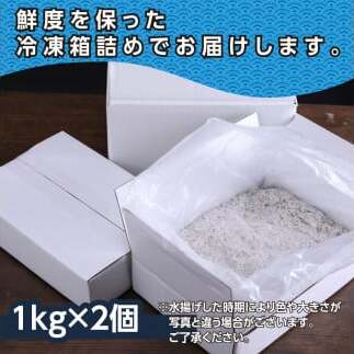 MMK005-1　訳あり釜揚げシラス1kg×2個 高知県産 釜揚げしらす 簡易梱包 わけあり 不揃い シラス 国産 釜揚げ 新鮮 しらす丼 海鮮丼 お茶漬け 冷凍配送 塩分控えめ お取り寄せ_イメージ