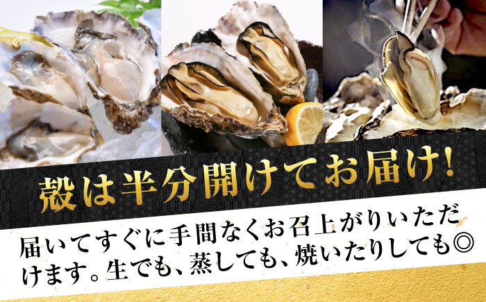 広島牡蠣の老舗！安心・安全の新鮮牡蠣【生牡蠣】牡蠣 かき 殻付き 開殻 夏のかき ハーフシェル『かき小町』9個入 生食用 魚介類 海鮮 広島県産 江田島市/株式会社かなわ [XBP012]