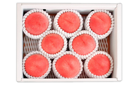 山形産 白桃  [柔らかくなる桃] 2.5kg(7～10玉) 秀品 品種おまかせ 【令和7年産先行予約】FS24-730