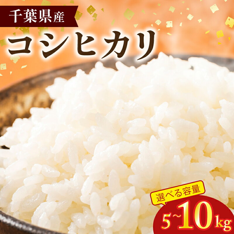 【ふるさと納税】 コシヒカリ 米 お米 【選べる】 5kg 10kg 令和8年産 新米 国産 国産米 コメ おこめ kome okome ※ 日用品 精米 白米 ご飯 ごはん 千葉県産米 おにぎり ギフト 贈答 贈り物 ランキング プレゼント 人気 備蓄 銚子 送料無料 千葉県 銚子市 サンズファーム