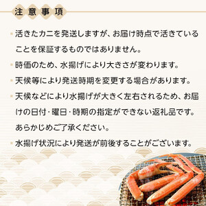 770.【活】《 タグ付き 》≪2025年11月発送≫ 特撰  松葉がに 【 ブランド タグ付き 】500g超×2杯  |  カニ 松葉がに