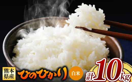 【 令和7年産 】 熊本県産 ひのひかり 白米 10kg | 小分け 5kg × 2袋  熊本県産 特A獲得品種 米 白米 ごはん 銘柄米 ブランド米 単一米 人気 日本遺産 菊池川流域 こめ作り ごはん ふるさと納税 返礼品