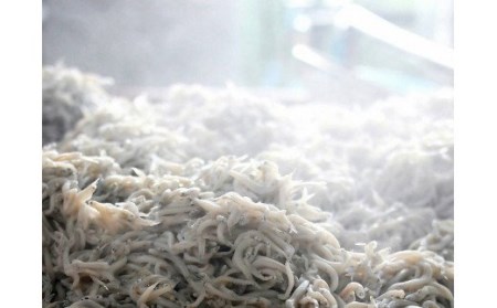しらす漁師直売！「湘南釜揚げ しらす ・ アカモク セット」B M050-002 魚 冷凍