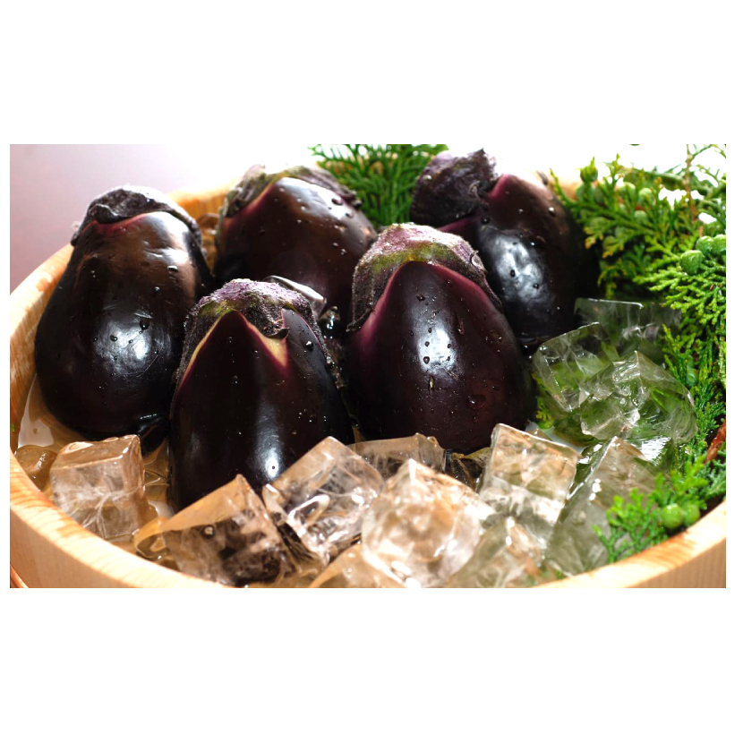 泉佐野老舗料理店 割烹料理人が漬ける水茄子浅漬け6個セット 099H253_イメージ2