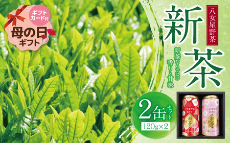 Y26-18R01 【母の日】新茶 八女星野茶 120g×2本