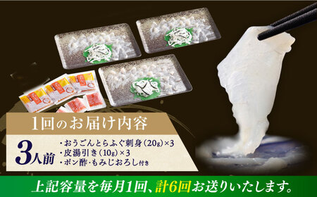 【全6回定期便】【着日指定 可能】活〆おうごんとらふぐ 刺身 セット（3人前） 平戸市 / 松永水産[KAB277]