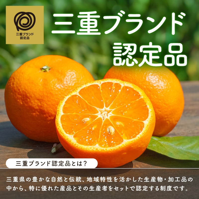 【2027年発送 先行予約品】