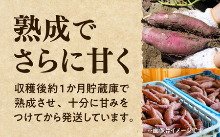 紅はるか 秀品 約5kg S〜2Lサイズ混合 【株式会社 Foody’s】[AYAT004]