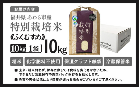【先行予約】【令和7年産】化学肥料不使用 特別栽培米 ふくむすめ 精米 10kg × 1袋 / 白米 米 福井県あわら市産 美味しい 特別栽培米 減農薬 安心な米 旨味 甘み もっちり 冷蔵保管米 ※