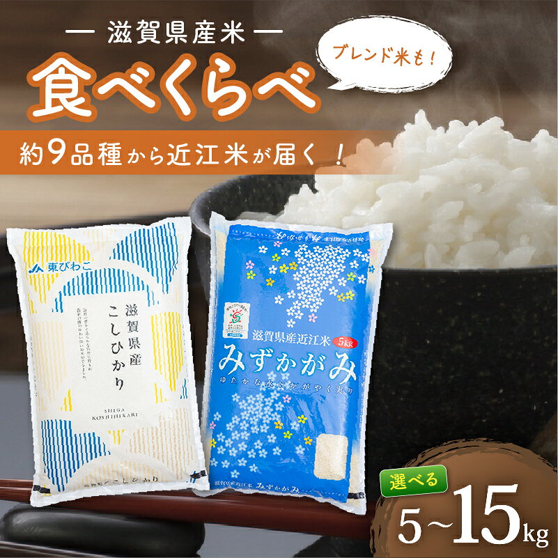 【ふるさと納税】 滋賀県産 米 5kg 10kg 15kg 近江米 食べ比べ / ブレンド米 / きぬひかり 令和8年産 令和7年産 定期便 新米 米 精米 こめ コメ お米 ご飯 5キロ 10キロ 15キロ 令和7年 令和8年 3ヶ月定期便 6ヶ月定期便 12ヶ月定期便 ふるさと納税米定期便 滋賀 彦根