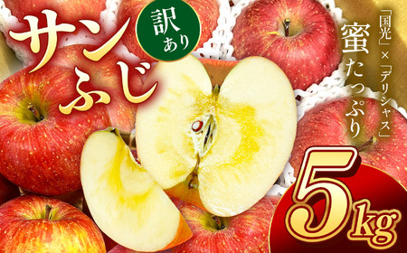 訳あり品 長野県産 サンふじ 約5kg ＜2026年1月上旬～2月上旬発送＞ | 果物 くだもの フルーツ 訳あり サンふじ サンフジ りんご リンゴ 林檎 長野県 信州 南信州 飯田市