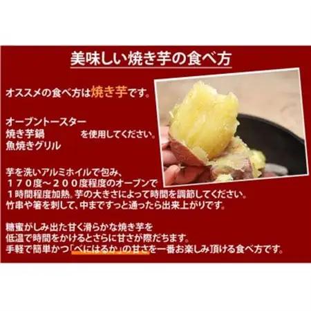 紅はるか 秀品(約10kg)(益城町)【1586864】