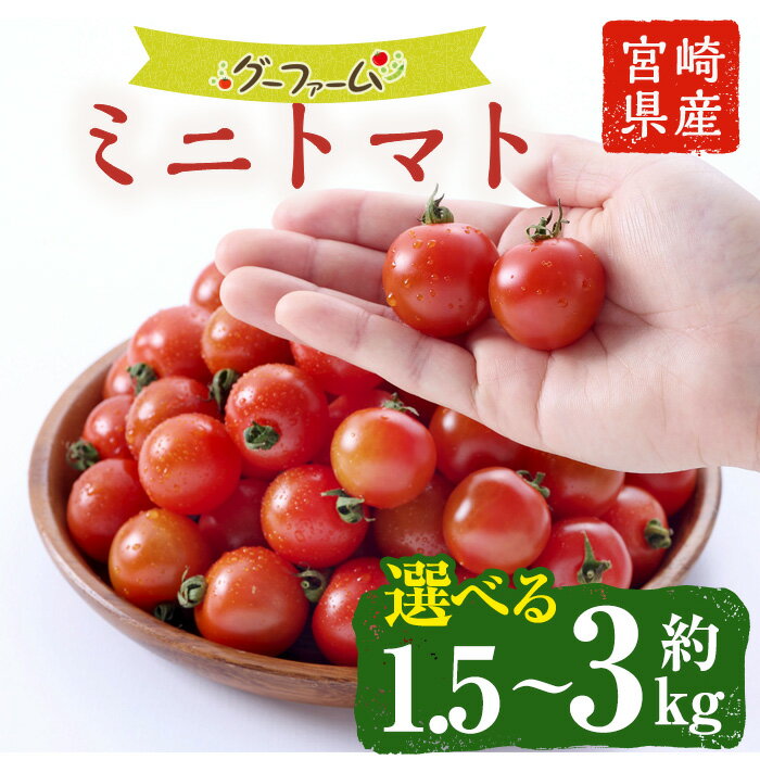 【ふるさと納税】＜先行予約受付中！2025年12月から順次発送予定＞＜内容量が選べる！＞ミニトマト(約1.5～3kg)野菜 とまと フルーツトマト サマー千果 アイコ サラダ 【GF-4・GF-2】【グーファーム】