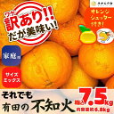 【ふるさと納税】不知火 訳あり それでも 有田の不知火 箱込 7.5kg(内容量約 6.8kg) サイズミックス 和歌山県産 産地直送 【みかんの会】 | 果物 フルーツ 柑橘 かんきつ 和歌山 みかん 有田みかん デコポン 特産 くだもの 食品 人気 おすすめ 送料無料