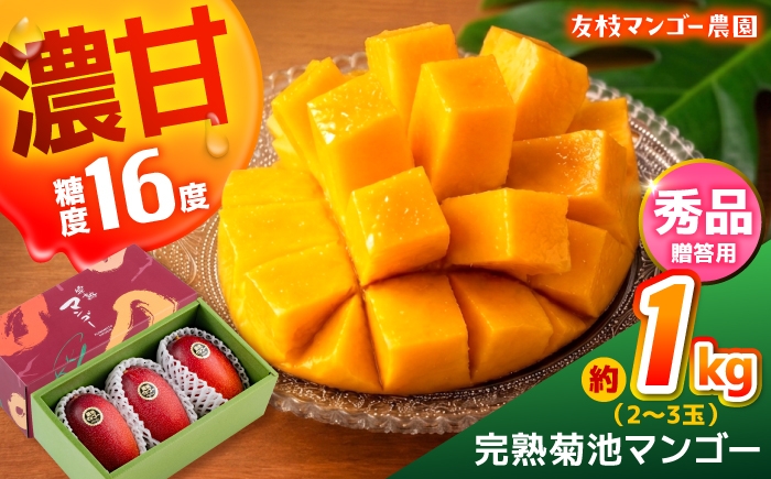 
                  【先行予約】【2027年6月上旬から順次発送】秀品 菊池マンゴー約1kg（2〜3玉） L〜3Lサイズ まんごー mango 果物 フルーツ アーウィン くだもの 旬 期間限定 季節限定 スイーツ 国産  【友枝マンゴー農園】[AYDF003]
                