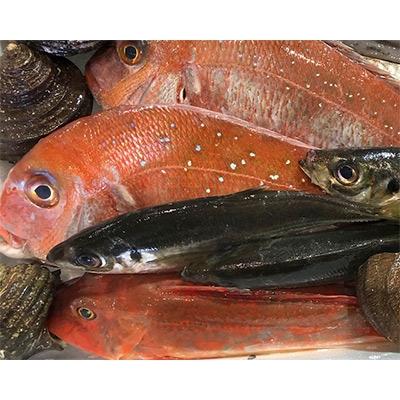 ふるさと納税 八幡浜市 竹中水産の一押し「お手軽鮮魚2」2キロ前後【D22-236】