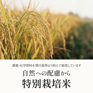 1315R07M04b　庄内産つや姫5kg（令和7年産米）4月中旬