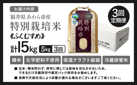 【先行予約】【令和7年産】定期便 ≪3ヶ月連続お届け≫ 化学肥料不使用 特別栽培米 ふくむすめ 精米 5kg × 3回（合計15kg） / 白米 米 福井県あわら市産 美味しい 特別栽培米 減農薬 安