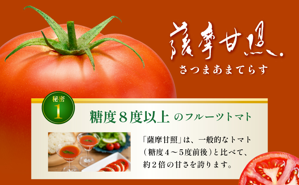 至高のトマト加工品詰合せ 3種類 南国 フルーツトマト100%使用 薩摩甘照 さつまあまてらす トマトジュース トマトケチャップ 濃厚 コク 甘み 天然素材 とまと 野菜 飲料 ドリンク ギフト 贈り
