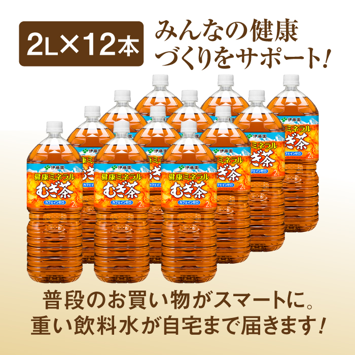 『定期便：全2回』健康ミネラルむぎ茶2L×6本×2箱【500016】_イメージ5