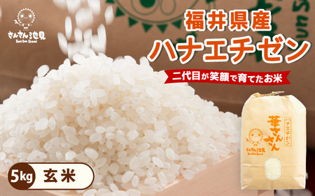 先行予約【令和8年産・新米】 ハナエチゼン 5kg～坂井市三国町産・こだわりの精米対応～（玄米） [A-0270_04]