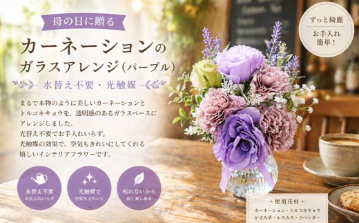 母の日に贈るカーネーションのガラスアレンジパープル（光触媒）