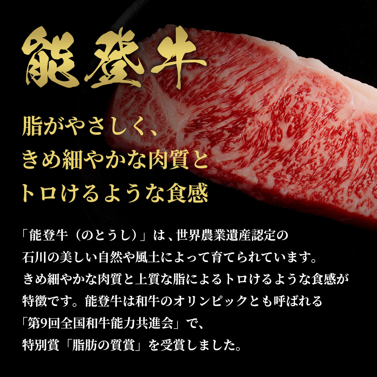＜11月20日ご注文分まで年内発送＞肉【和牛セレブ】能登牛 サーロインステーキ 240g 黒毛和牛 サーロイン ステーキ 霜降り ギフト 石川県 能美市