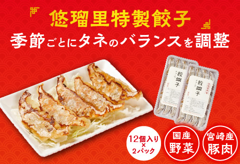 悠瑠里とんこつら～めん4食セット×悠瑠里特製餃子2P×鶏餃子2P