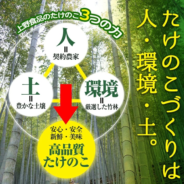 ＜先行予約受付中！2027年2月下旬以降順次発送予定＞ 【土日祝着】朝堀り青果たけのこ(約3kg) 国産 新鮮 タケノコ 青果 竹の子 筍 野菜 春 旬 期間限定 数量限定 【上野食品】akn008-