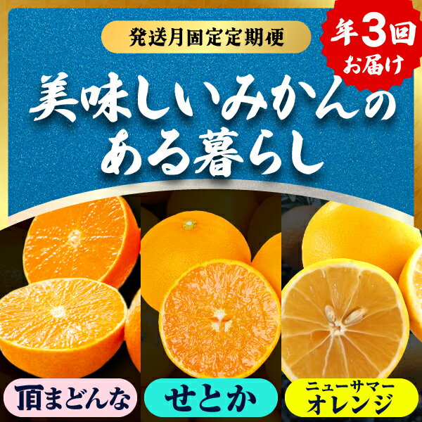 【ふるさと納税】【発送月固定定期便】美味しい柑橘【まどんな・せとか・ニューサマーオレンジ】【G31-45】全3回_【配送不可地域：離島】【4058607】 YWTAC034