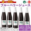 【ふるさと納税】＜選べる容量＞ブルーベリージュースセット(計1.5～2.5L)鳥取県 鳥取 大山 ブルーベリー ジュース ストレートジュース ブルーベリージュース 飲料 贈答 プレゼント ギフト【T-BI1】【大山ブランド会】