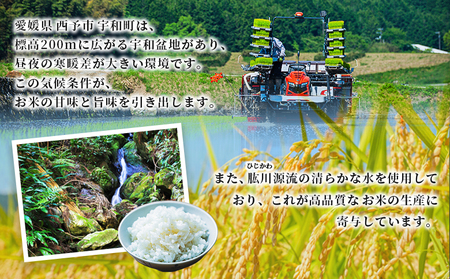 【先行予約】＜令和8年産 愛媛県西予市産 コシヒカリ 5kg（3回定期便）＞ 定期便 お米 コメ こめ 白米 精米 ご飯 新鮮 5キロ 愛媛県産 宇和町産 こしひかり 特産品 もとき農園 愛媛県 西予