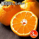 【ふるさと納税】観音山しらぬい 3kg 有限会社柑香園 【日付指定不可】《2025年2月中旬-4月上旬頃出荷》和歌山県 紀の川市 フルーツ 果物 柑橘 しらぬい