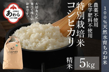 【先行予約】【令和6年産】コシヒカリ 精米 5kg 特別栽培米 化学肥料不使用  ＜温度と湿度を常時管理し新鮮米を出荷！＞ / 伊与衛門農園の特別栽培米 高品質 鮮度抜群 福井県 あわら市産 ブランド米 R6 新米 北陸 白米 お米 ご飯 ※2024年9月下旬より順次発送予定