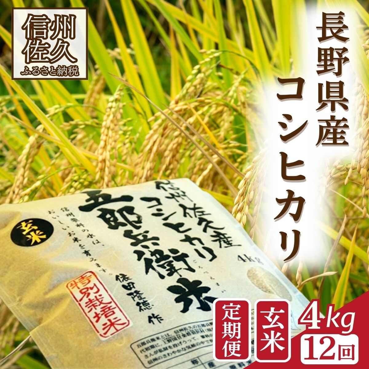 【ふるさと納税】【令和7年産・玄米4kg×12カ月定期便】特別栽培米 五郎兵衛米〈2025年9月中旬頃～順次発送〉 先行予約 新米 信州 こしひかり【 米 コメ 玄米 お米 こめ おこめ 備蓄品 コシヒカリ 長野県 佐久市 】