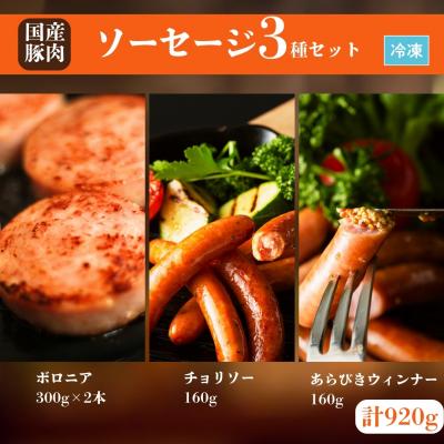 ふるさと納税 南相馬市 国産豚肉 ソーセージ3種セット  (ボロニア / チョリソー / あらびきウィンナー)