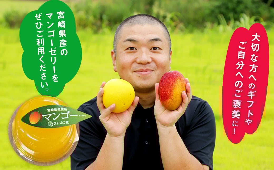 ＜宮崎県産マンゴーゼリー48個＞翌月末迄に順次出荷