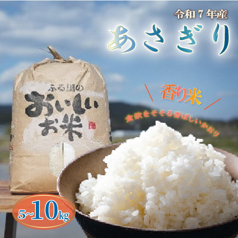 【ふるさと納税】【 令和7年産 】 白米 5kg ～ 10kg あさぎり 米 5キロ ～ 10キロ 香り米 精米 国産米 香米 うまにの おいしい お米 産地直送 ふるさと納税米 ふるさと納税お米 2025年産 数量限定 こめ ごはん ご飯 おにぎり 自然 特産 高知県 高知 黒潮町 [1699][1700]