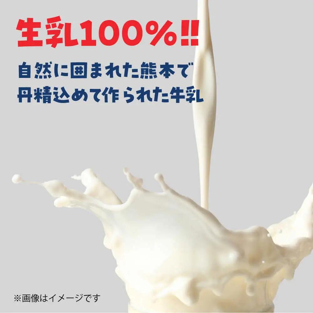 大阿蘇牛乳 250ml×24本入 牛乳[AYAB021]