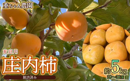 【令和7年産先行予約】家庭用　庄内柿（ひらたねなし柿）約5kg（28～36玉） 山形県鶴岡市産　重ちゃん農園
