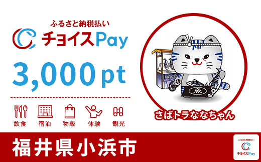 
            小浜市チョイスPay 3,000pt【会員限定のお礼の品】
          