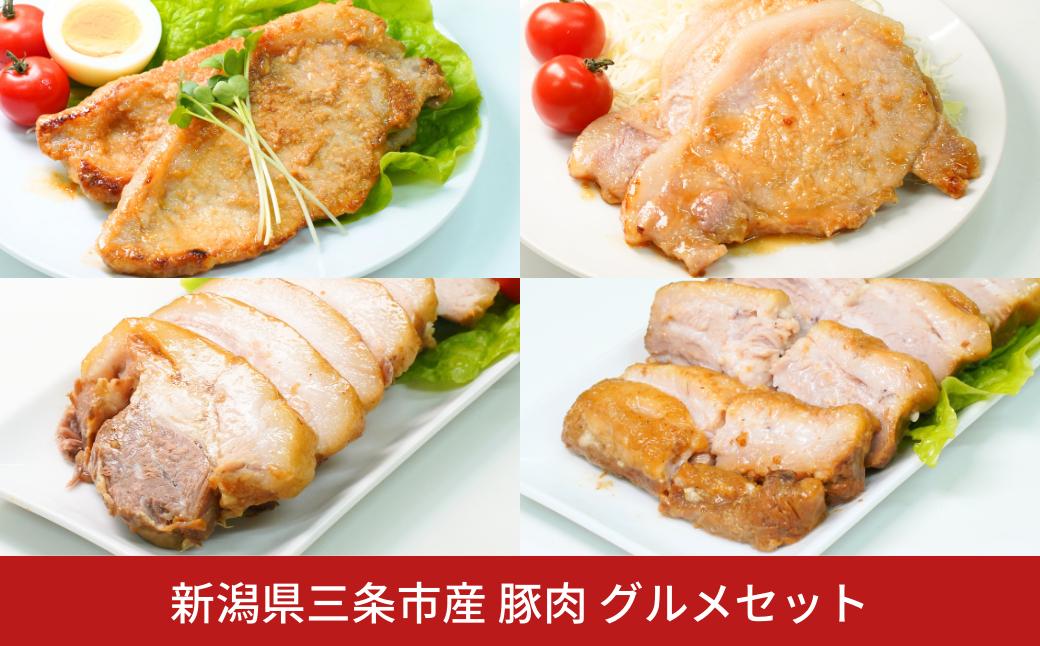 
            三条市産豚肉グルメセット1.4㎏ チャーシュー 味噌漬け 麹漬け ほほ肉 バラ肉 ロース 【013S126】
          