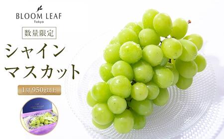 BLOOM LEAF シャインマスカット1房 ＜2024年9月中旬発送開始＞【食品 加工食品 人気 おすすめ 送料無料】