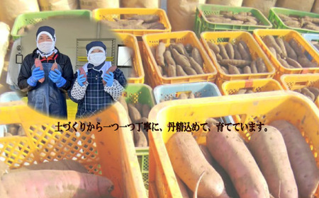 2025年12月発送 先行予約 干し芋工房 風と太陽の小芋焼き芋 1.8kg しっとり甘い おいも いも 芋 茨城県産 国産 無添加 和菓子 お菓子 おやつ スイーツ お取り寄せ さつまいも