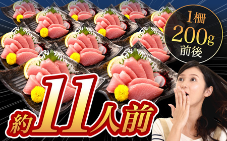 本マグロ 大賞受賞 みやび鮪 中トロ 計約1kg (約10～11人前) ／ 小分け トロ 霜降り ブロック クロマグロ 鮪 まぐろ さく マグロ 柵 刺し身 刺身 国産 本まぐろ 本鮪 中とろ 冷凍 